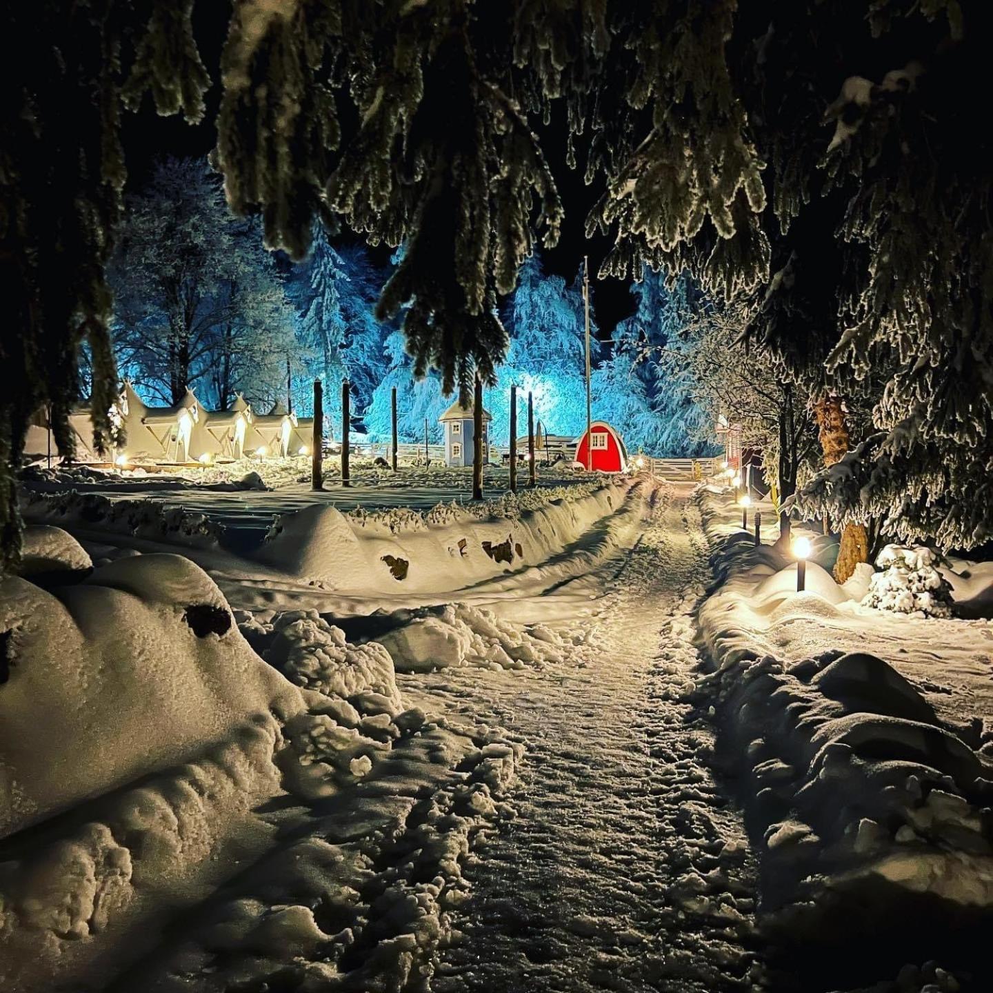 Отель Finska Wioska Kalevala Боровице Экстерьер фото